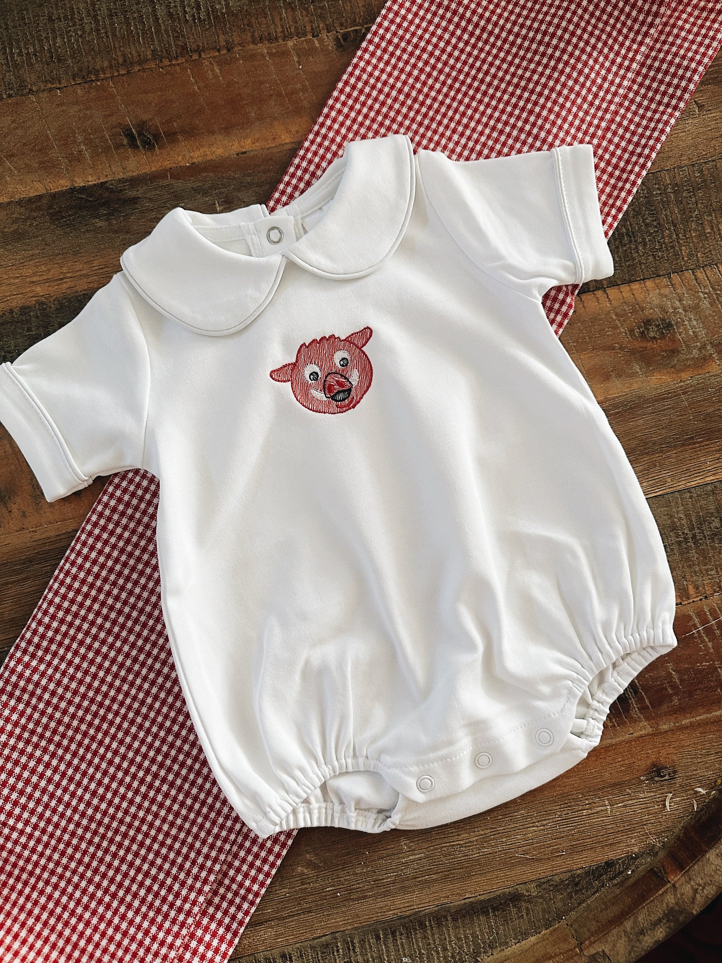 Little Pig Collared Bubble